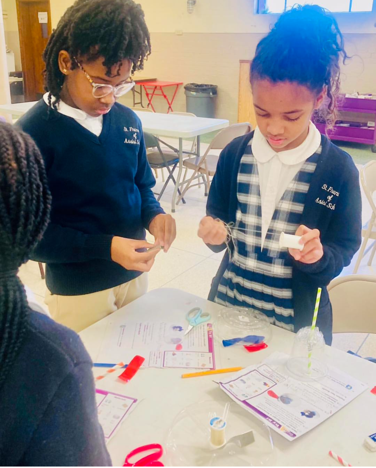 Stem Club experiments